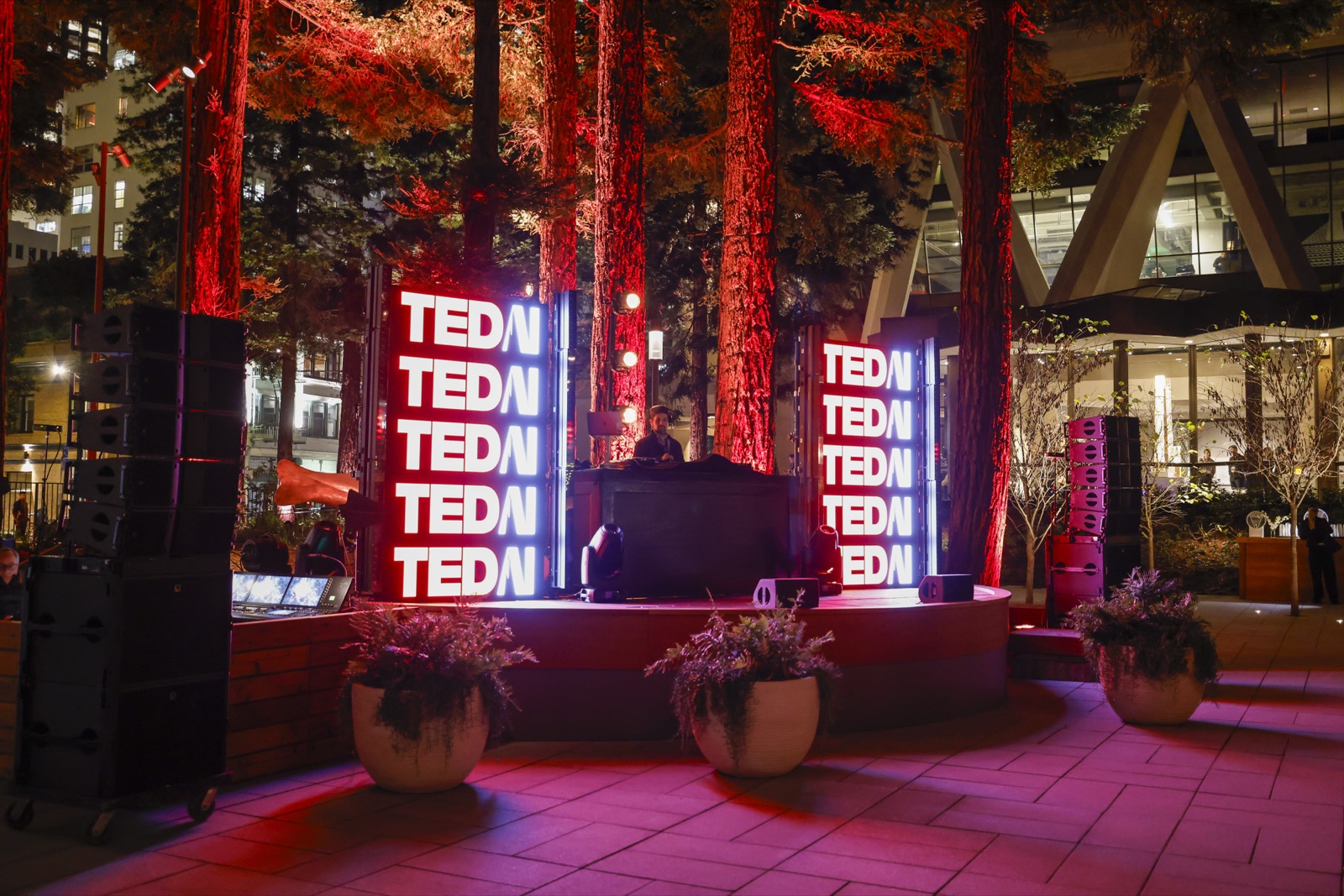 Outdoor evening afterparty with TEDAI signage among redwoods