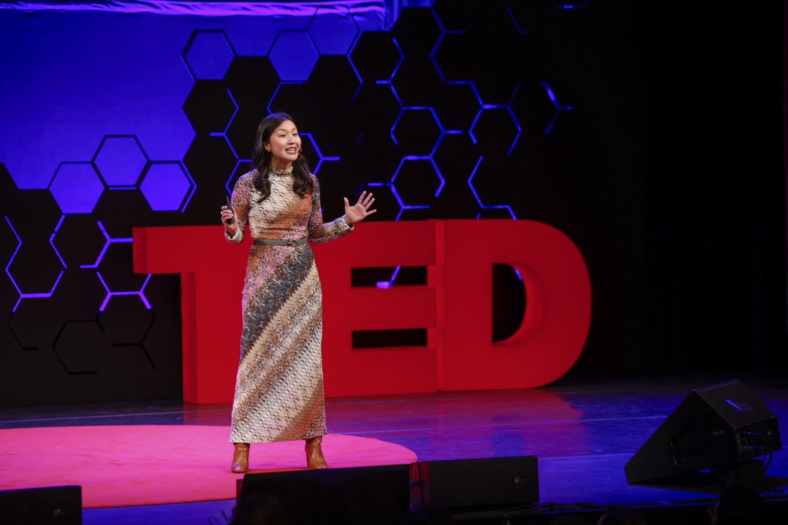 Speaker mid-talk in front of the TED letters